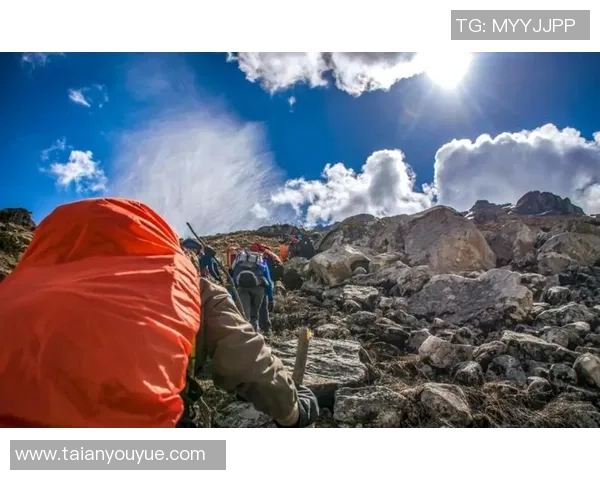 极限运动的挑战与荣耀：上海极限运动队的逆袭之路全景纪实
